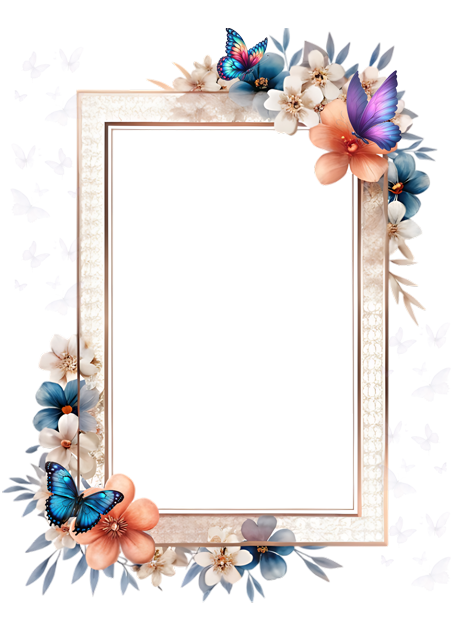 Frame Overlay