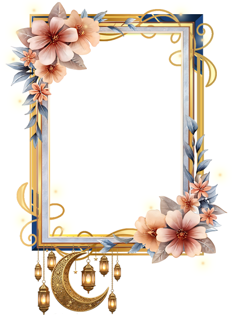 Frame Overlay